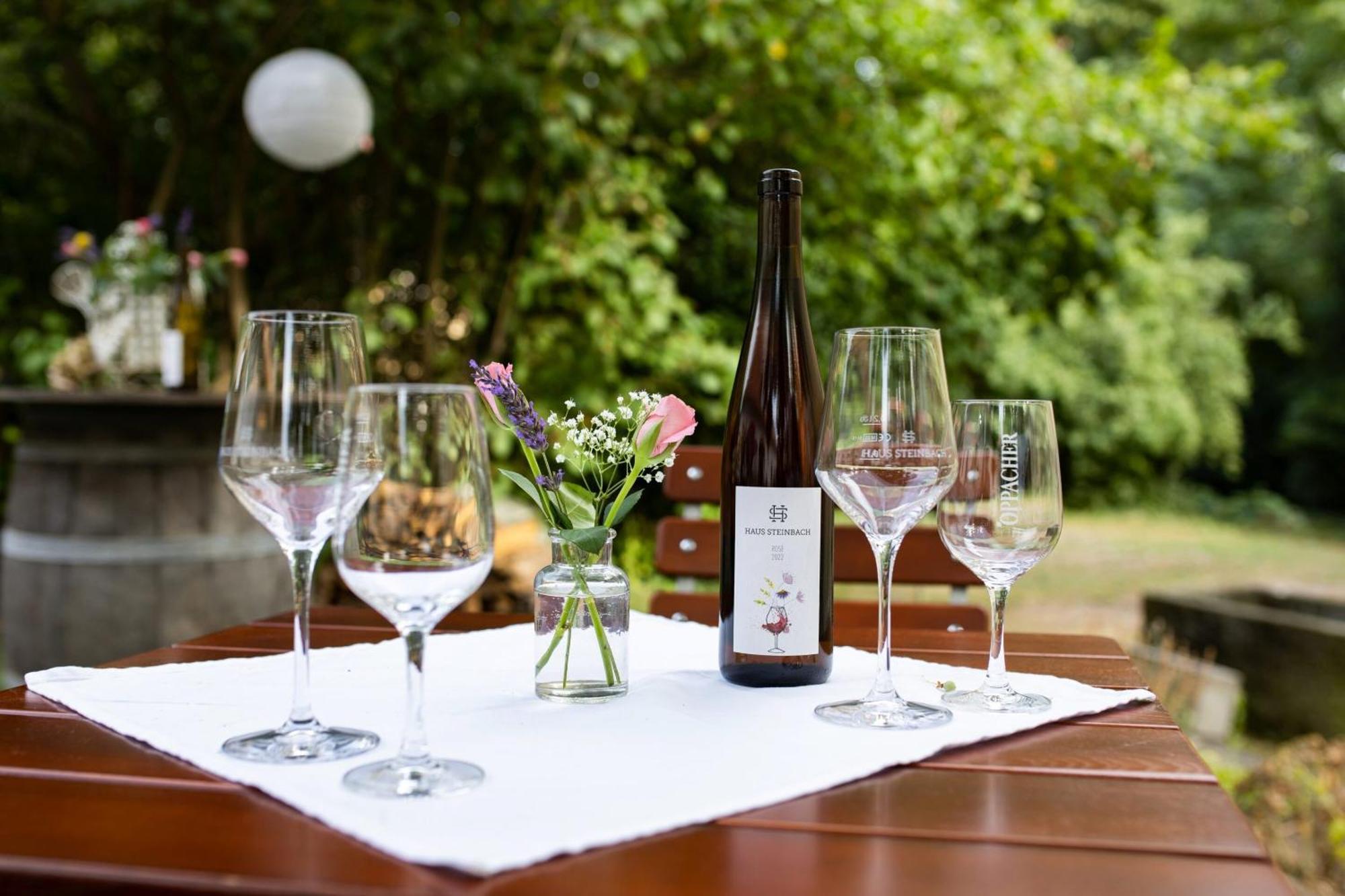 Willa Weingut Haus Steinbach Radebeul Zewnętrze zdjęcie
