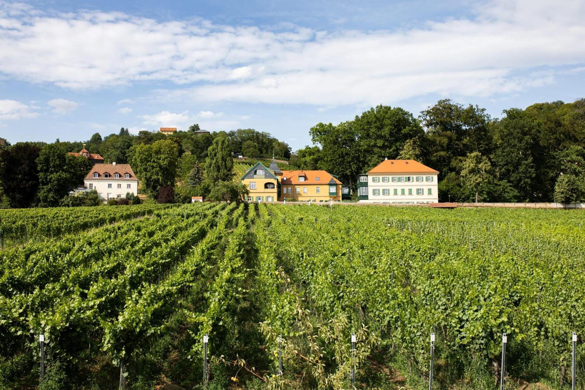Willa Weingut Haus Steinbach Radebeul Zewnętrze zdjęcie