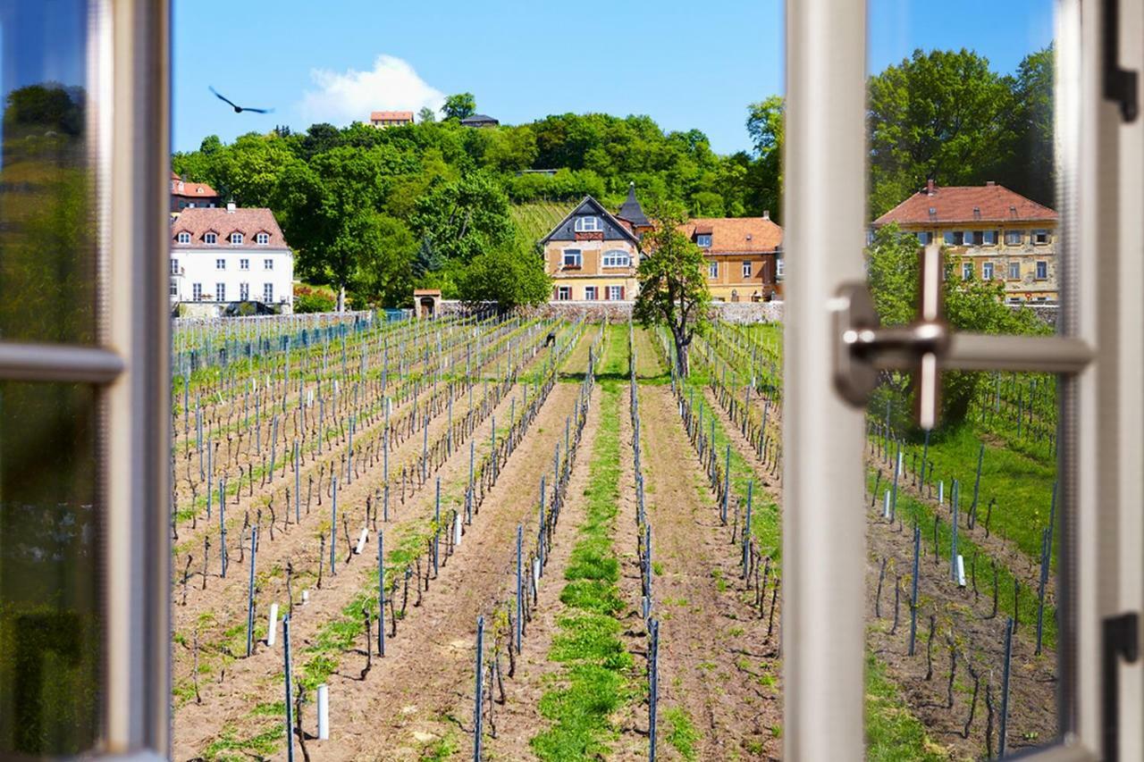 Willa Weingut Haus Steinbach Radebeul Zewnętrze zdjęcie