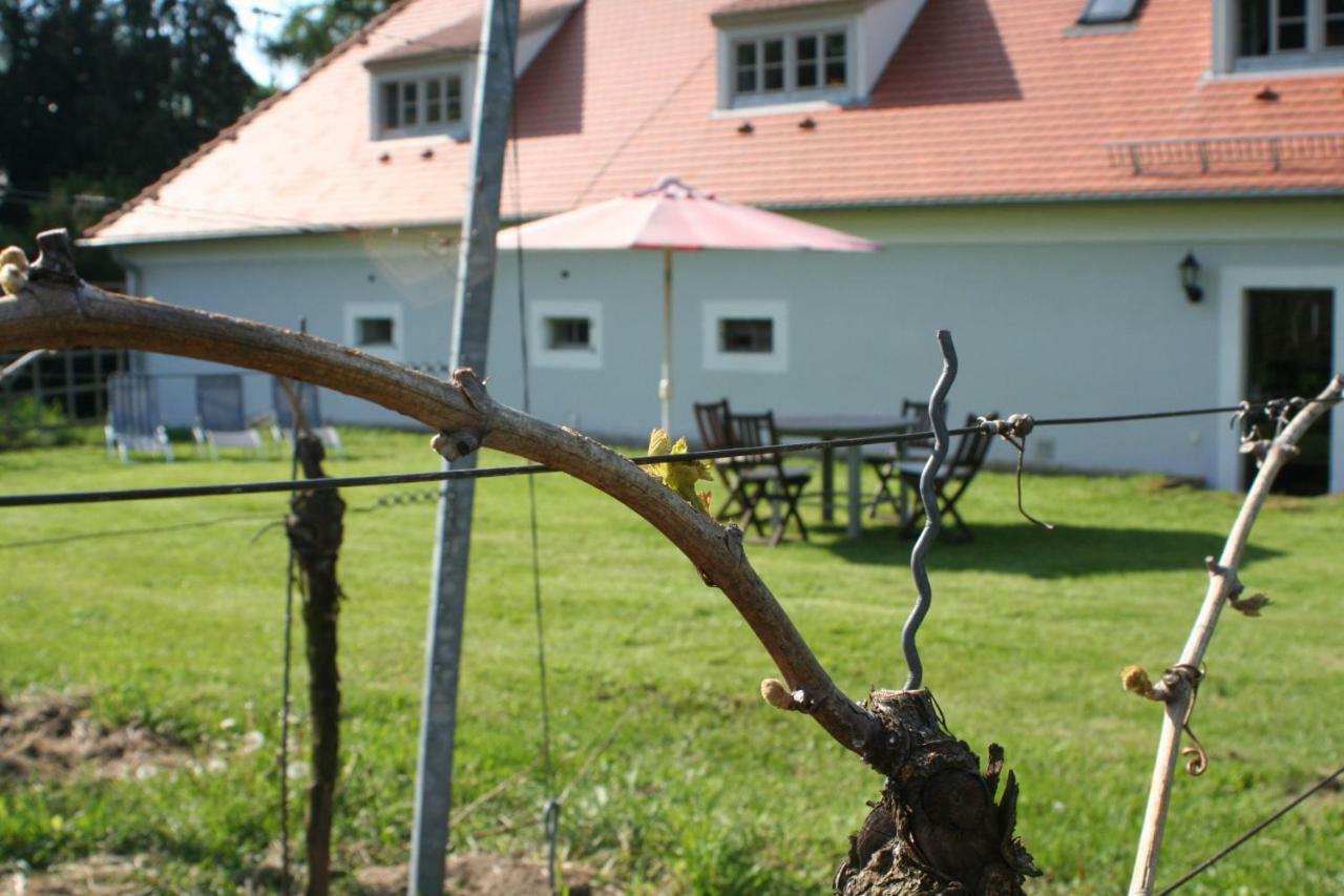 Willa Weingut Haus Steinbach Radebeul Zewnętrze zdjęcie